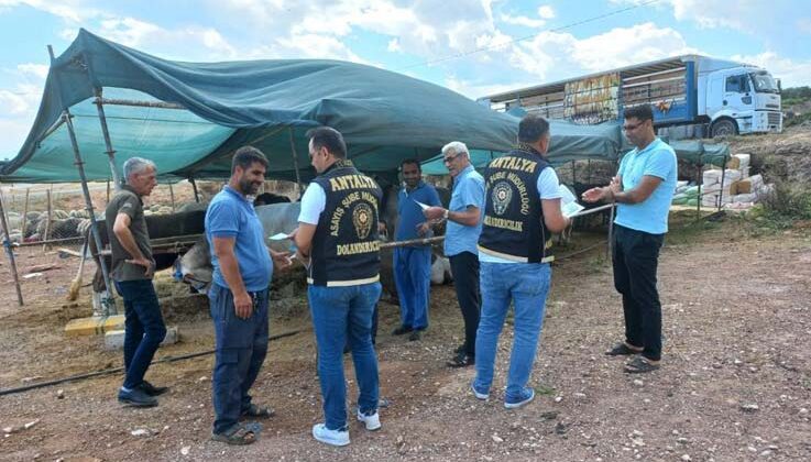 Antalya’da kurban pazarlarında dolandırıcılık uyarısı