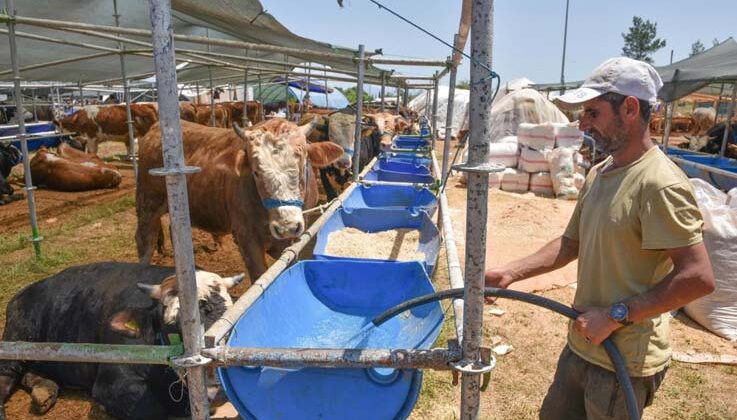 Kepez ‘de 3 satış, 9 kurban kesim noktası