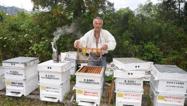 Antalya’da arı kovanlarının yeni adresi bin 960 metre rakımlı yaylalar