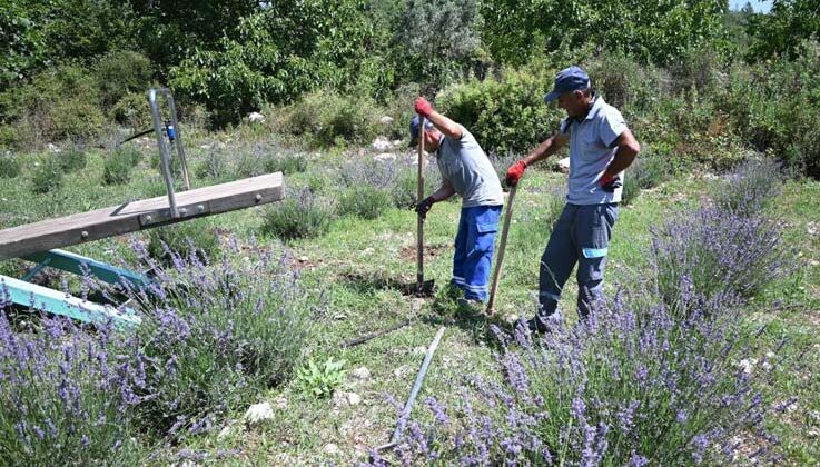Kemer’de “Mor turizm” başlıyor