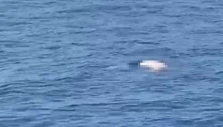 Antalya’da deniz üzerinde erkek cesedi bulundu