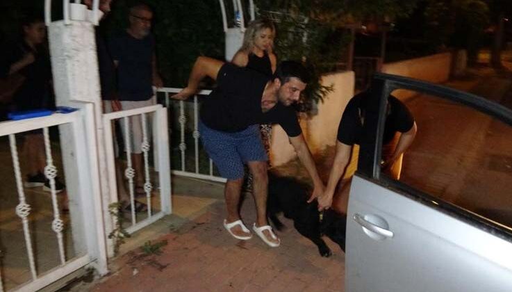 Tasmasız ve ağızlıksız doberman parkta aileye dehşeti yaşattı