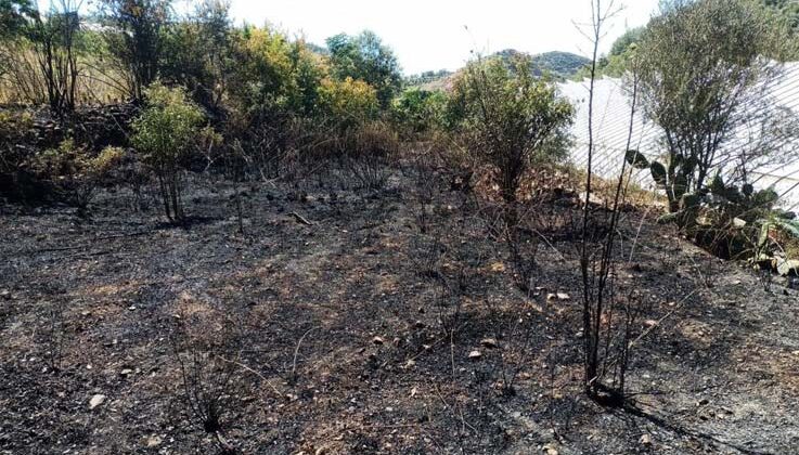 Alanya’da, bahçe yangınında meyve ağaçları ve sulama sistemi zarar gördü