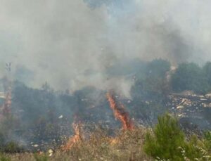 Kaş’taki orman yangını havadan ve karadan müdahaleyle kontrol altına alındı