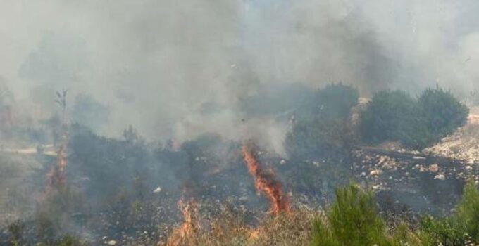 Kaş’taki orman yangını havadan ve karadan müdahaleyle kontrol altına alındı