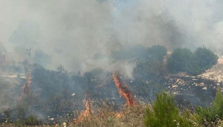 Kaş’taki orman yangını havadan ve karadan müdahaleyle kontrol altına alındı