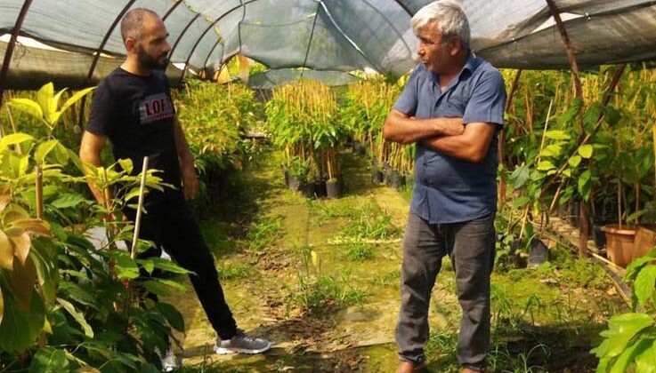 Gazipaşa İlçe Tarım fide ve fidan denetimi yaptı