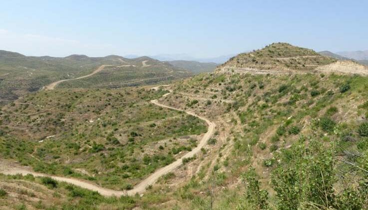 Büyük yangın sonrası Manavgat’ta dikilen 3,5 milyon fidan yeşerdi