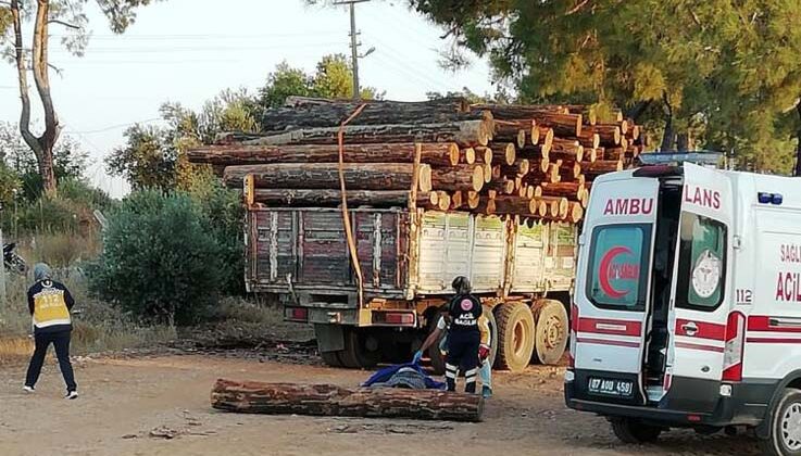 Başına tomruk düşen adam hayatını kaybetti
