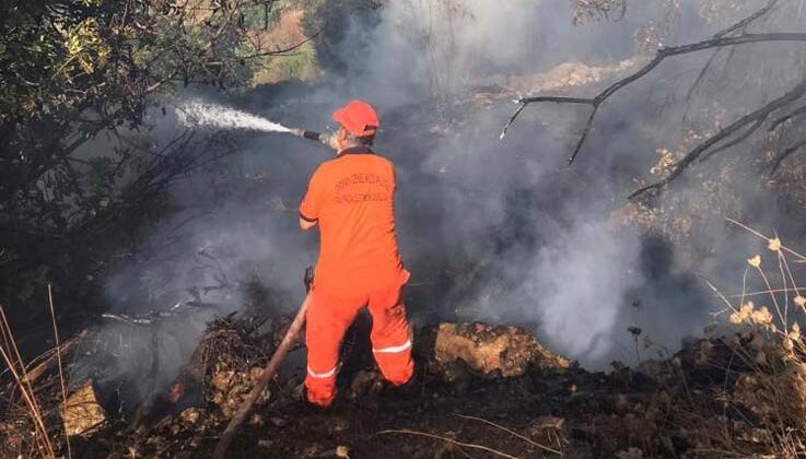 Gazipaşa’da avokado bahçesi alevlere teslim oldu