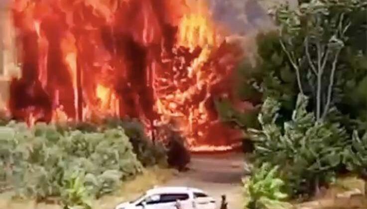 Antalya’da çalılık alanda çıkan yangın kovanları küle çevirdi