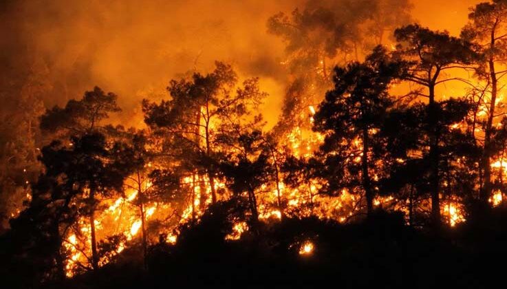 Antalya Büyükşehir Belediyesi Göynük yangını için seferber oldu
