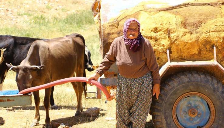 Antalya’nın “Çoban Haritası” çıkartılıyor