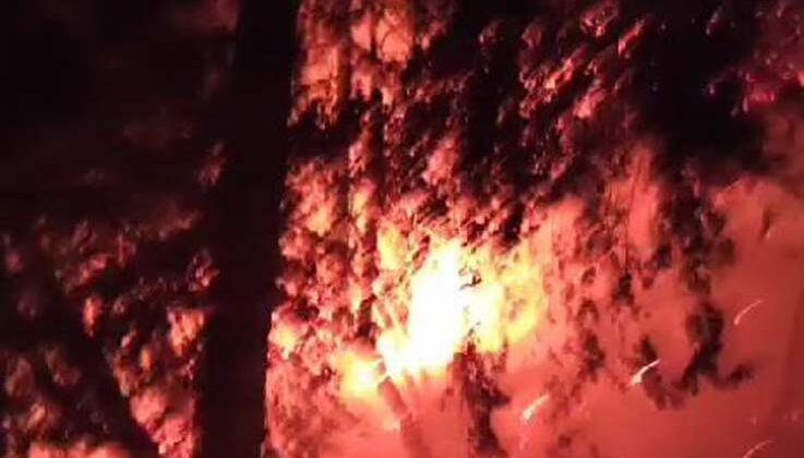 Manavgat’ta 1 hektar kızılçam ormanı yandı