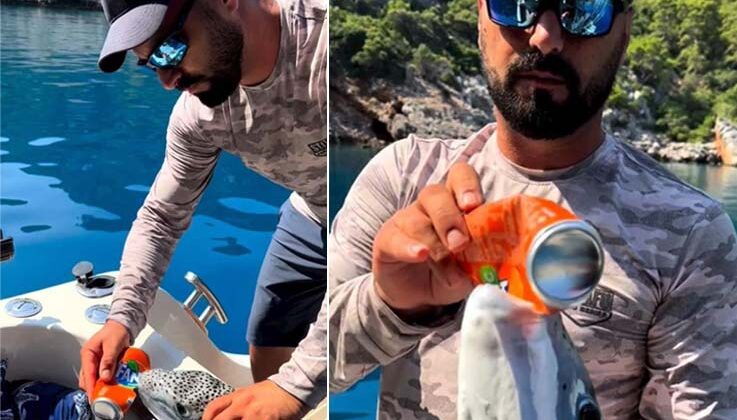 Tenekeyi kraker gibi yedi, uzmanından ’Yakalarsanız dikkat edin’ uyarısı geldi