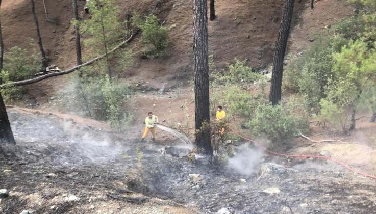 Antalya’da orman yangını büyümeden söndürüldü
