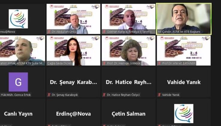 Keçiboynuzu, orman yangınlarının yayılmasına set olabiliyor