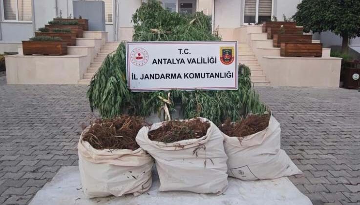 Serik’te jandarmadan uyuşturucu operasyonu: 3 gözaltı