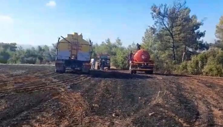 Ormanlık alanda başlayan yangın tarım arazisine sıçradı