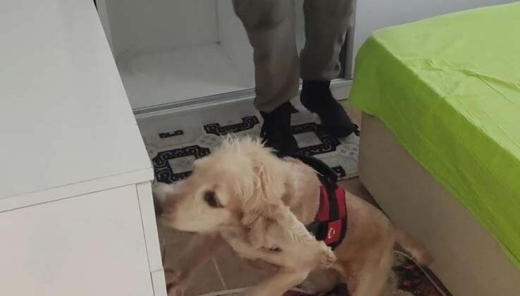 9 kilogram kokain Çaki’ye takıldı