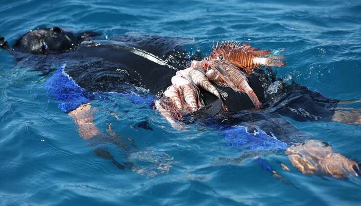 Antalya’da Aslan Balığı Avlama Yarışması düzenlendi