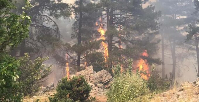 Antalya’da orman yangını devam ediyor