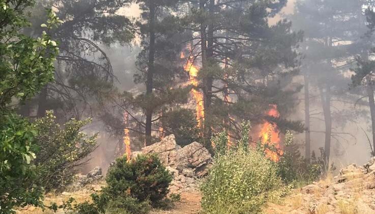 Antalya’da orman yangını devam ediyor