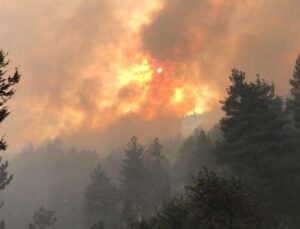 Antalya’da orman yangınına 450 kişilik ekiple müdahale ediliyor