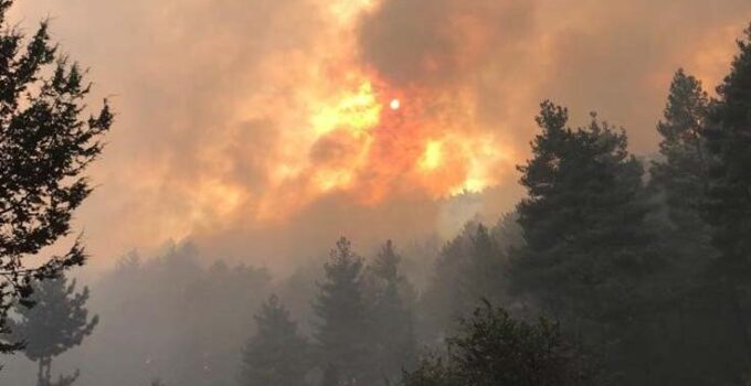 Antalya’da orman yangınına 450 kişilik ekiple müdahale ediliyor