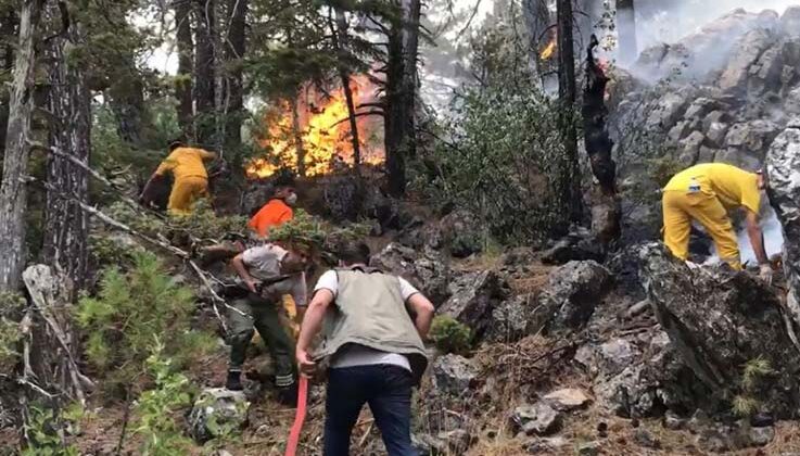Akseki’deki orman yangınında 45 hektar alan zarar gördü