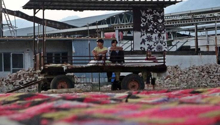 Antalya’da tarlada milyonluk halı nöbeti: Güneş batınca başlayıp, doğunca bitiriyorlar