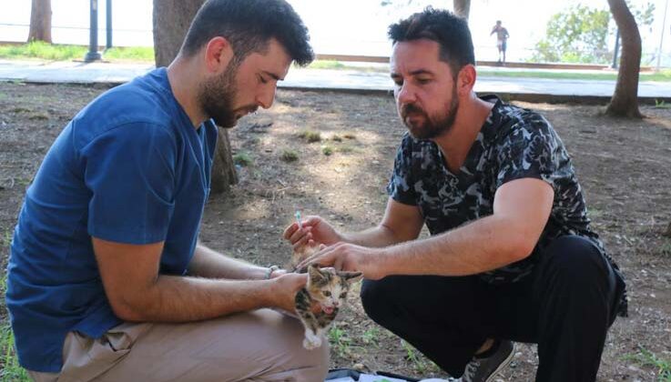 Kaleiçi’ndeki kedi ve köpeklere iç-dış parazit ilaçlaması