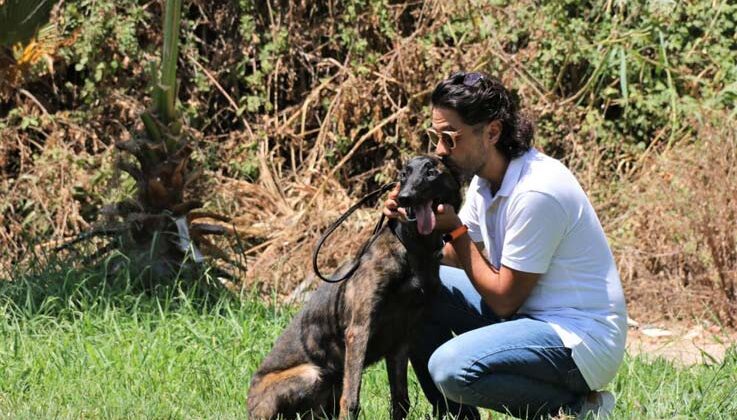 Türkiye’de nadir bulunup barınaktan kaçan Dutch Shepherd cinsi köpek için seferber oldular