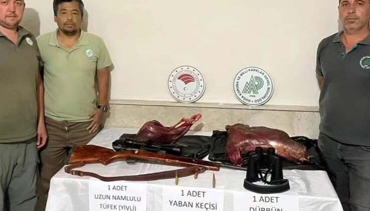 Antalya’da kaçak yaban keçi avına 300 bin TL tazminat