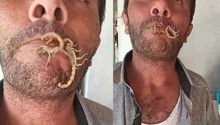 Akreplere kendini sokturdu, ‘Hayvan sevgisi’ dedi