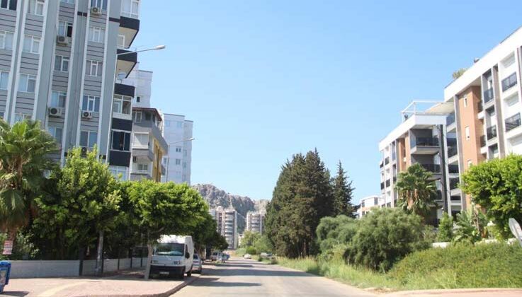 Kapılarına dayanan domuz sürüsü yüzünden siteye giremeyen mahalleli çözüm bekliyor