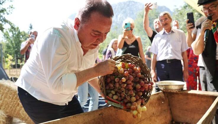 Antalya Gastronomi Festivali’nin ikinci gününde mor üzüm hasadı
