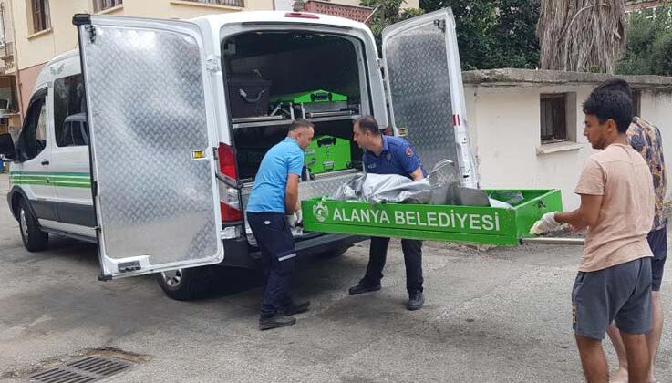 Alanya’da boş binanın bahçesinde erkek cesedi bulundu