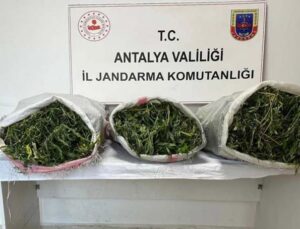19 kilo 745 gram skunk maddesi ele geçirildi