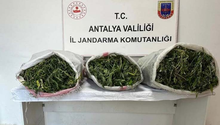 19 kilo 745 gram skunk maddesi ele geçirildi