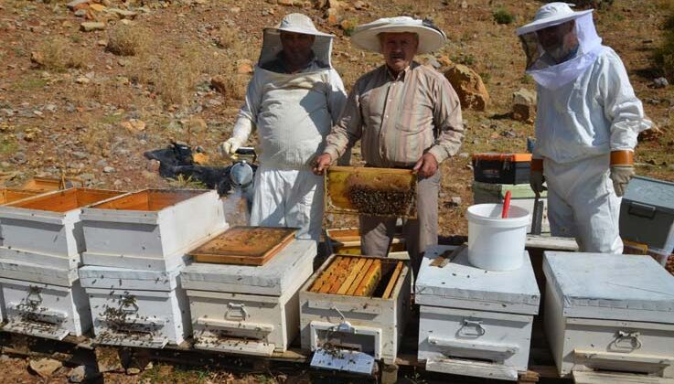 Antalya’da bal rekoltesi düştü, kilogramı 800 liraya kadar çıktı