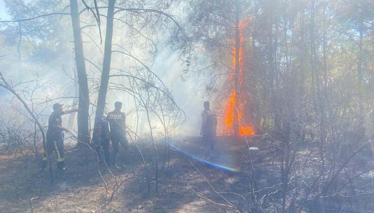 Manavgat’ta ormanlık alanda başlayan ikinci yangın söndürüldü