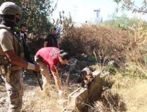 Antalya’da 300 polisle 15 adrese helikopter destekli eş zamanlı uyuşturu operasyonu