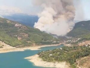 Alanya’daki orman yangını kontrol altına alındı