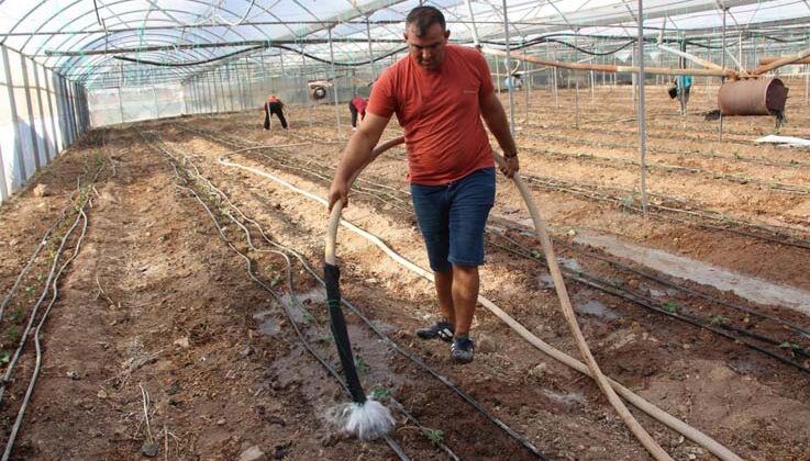 45 bin dekar alanda 130 milyon fidan toprakla buluştu