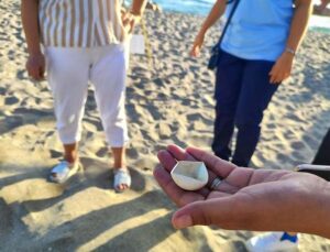 Alanya’da caretta caretta yuvalarındaki yumurtalar tek tek kontrol edildi