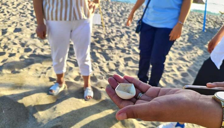 Alanya’da caretta caretta yuvalarındaki yumurtalar tek tek kontrol edildi