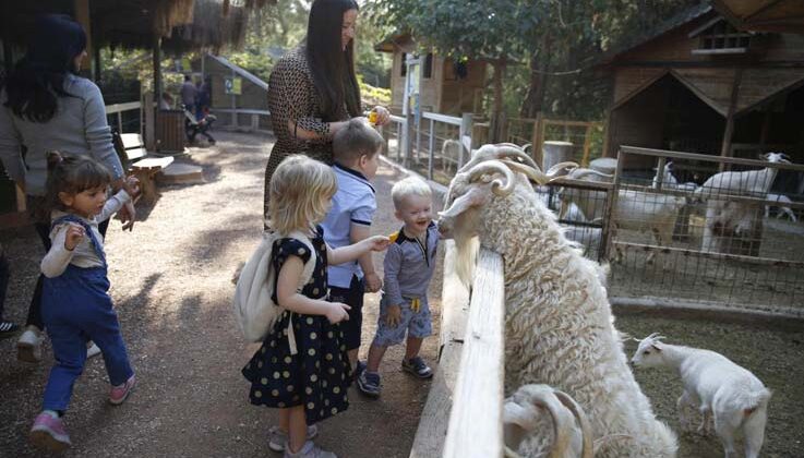 Antalya Doğal Yaşam Parkı 4 Ekim’de ücretsiz