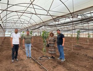 Kumluca’da tropik meyve yetiştiriciliği eğitimi