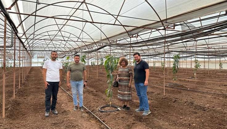 Kumluca’da tropik meyve yetiştiriciliği eğitimi